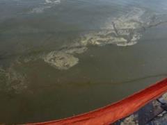 В Николаевском морпорту произошел очередной аварийный разлив растительного масла в акватории