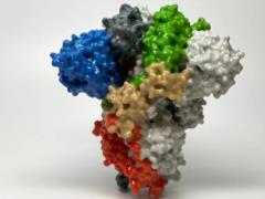 New coronavirus strain close to delta strain discovered in Norway