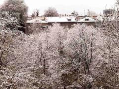 Синоптики рассказали, когда ждать снега в Украине