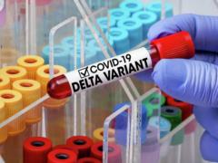 11 variants of the Delta strain were found in Ukraine