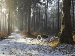 Синоптики обещают в Украине дожди со снегом