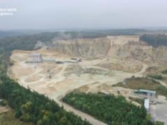 Украина и Китай первыми присоединились к международному проекту, который отслеживает движение древесины