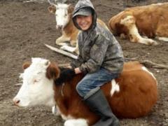 A Yakut boy will be given a cow from Putin