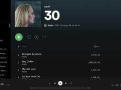 Spotify убрал кнопку перемешивания треков в альбомах после просьбы Адель