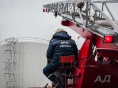 Два «Василькова»