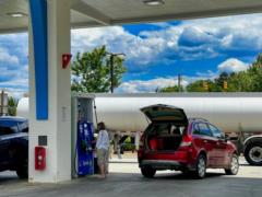 Для стабилизации цен на топливо США выпустят на рынок 50 млн баррелей нефти из стратегического резерва