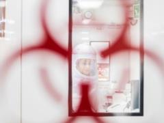 В ЕС бьют тревогу из-за нового штамма COVID-19 Omicron: его выявили уже в Германии, Чехии и Бельгии