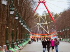 На выходных ночью температура в Харьков опустится ниже нуля