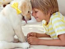 Study: children shouldn t eat dairy and sweets before bed