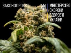 Куда движутся законодательные инициативы о медицинском каннабисе