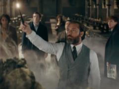 Смотрите трейлер третьей части «Фантастических тварей»