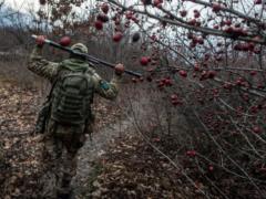 ООС: Два обстрела за сутки, потерь нет