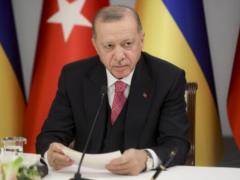 Ердоган наступного року відвідає Україну