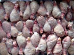 В Украине за год значительно подорожало мясо, рыба и вся молочка