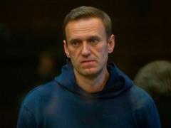 Россия запретила въезд семи гражданам Британии из-за санкций за Навального