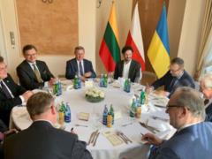Poland and Lithuania support Ukraine s accession to NATO and the EU