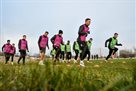Заря проведет четыре спарринга на первом сборе в Турции