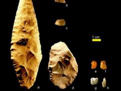 Archaeologists have found the remains of the oldest domestic dog in America