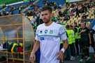 Чайковский и Махарадзе покинули Полесье