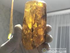 На Волыни задержали банду за подпольную добычу и переработку янтаря: изъято около 200 кг сырья