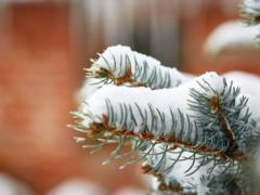In Kharkiv on Sunday, snow and rain, about zero