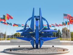 В НАТО підготувалися до  