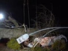 В Киеве из-за непогоды и сильного ветра погиб человек, повреждены около 10 авто