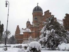 Slight frosts are predicted in Ukraine, without precipitation