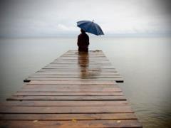 Contact with nature helps fight loneliness - The Guardian