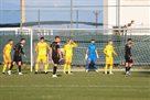 Александрия минимально уступила Балканам