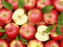 Диетологи назвали 7 идеальных продуктов питания