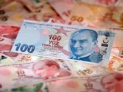 Годовая инфляция в Турции в январе достигла 20-летнего максимума