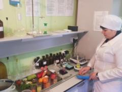 Рынки Харьковщины проверят на соблюдение ветеринарно-санитарного законодательства