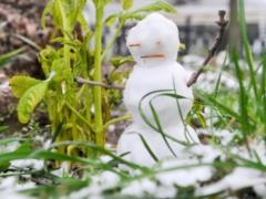 В Харькове в пятницу будет аномально тепло