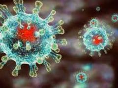 The Ministry of Health of Ukraine told how they will track the transmission of COVID