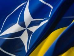 Вопрос членства Украины в НАТО на данный момент не актуален, – Шольц
