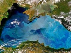 Блокада портов Украины продолжается и приносит огромные убытки, несмотря на новый судоходный коридор - эксперт