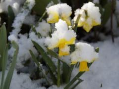 Spring instability: weather forecaster predicted changeable weather in spring
