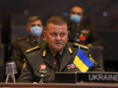 Резервы теробороны увеличились до 37 тысяч — главком ВСУ