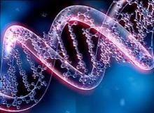 New Opportunities in Optogenetics