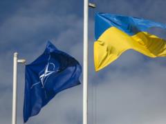 Поки НАТО не приймає Україну, нам необхідний інший договір для гарантій безпеки – заява «Слуги народу»