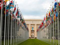 The UN denied the information that its employees were forbidden to call the attack on Ukraine a war