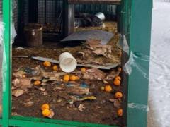 Two kangaroos killed in Feldman Ecopark