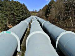 Большинство немцев готовы отказаться от российской нефти и газа для остановки войны в Украине