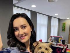 Hosts of 1 + 1 sheltered a refugee dog Dimona from the suburbs of Kyiv on their channel