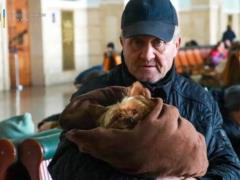“I can’t leave, I have a cat”: how the war changed the lives of pets and their owners
