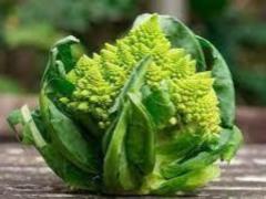 Romanesco cabbage: composition, benefits, diets, recipes