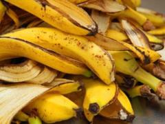 Russia may be left without bananas