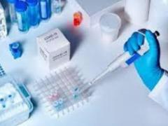 Covid:  powerful natural weapon  to protect and treat infection