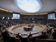 NATO split over talks with Putin - Bloomberg